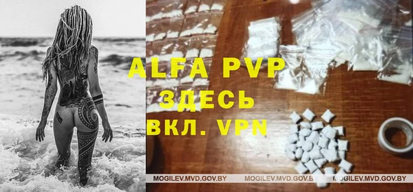 прущая мука Новодвинск