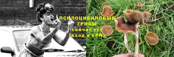 apvp Бежецк